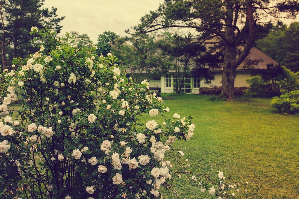 Adami Country Guesthouse Vainupea Exterior foto