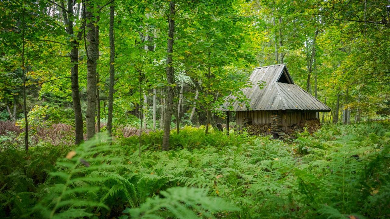 Adami Country Guesthouse Vainupea Exterior foto