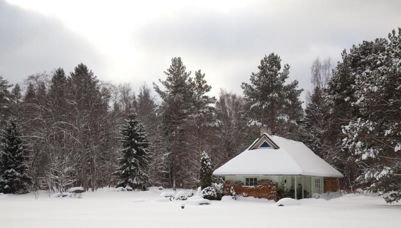Adami Country Guesthouse Vainupea Exterior foto